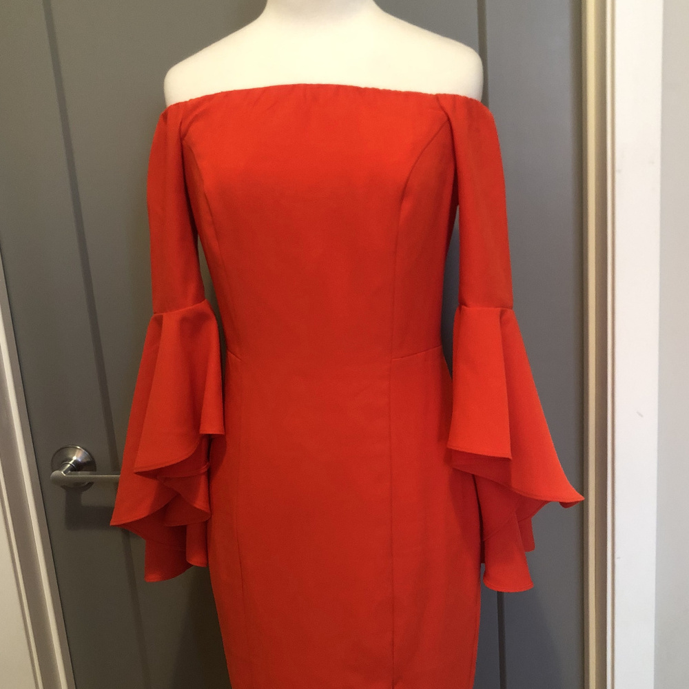 Long trumpet sleeve dress